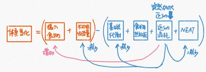 减肥椅子_减肥椅健身可以减肚子吗_健身椅可以减肥吗