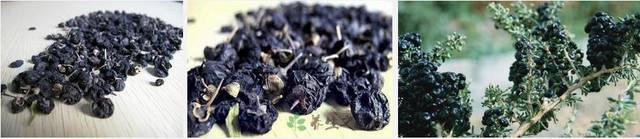 问鼎娱乐app苹果下载 女人长期喝黑枸杞的五大最明显变化，皮肤鲜活年轻