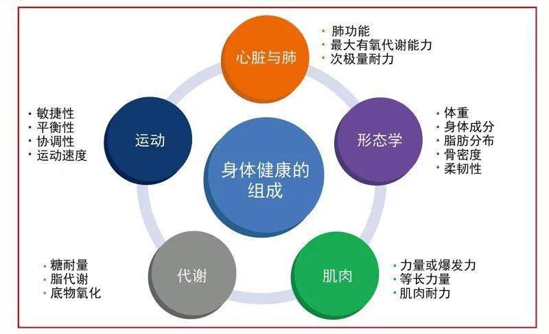 全民健身路径锻炼指南_菜男锻炼指南物理手法免费_综合训练器锻炼指南