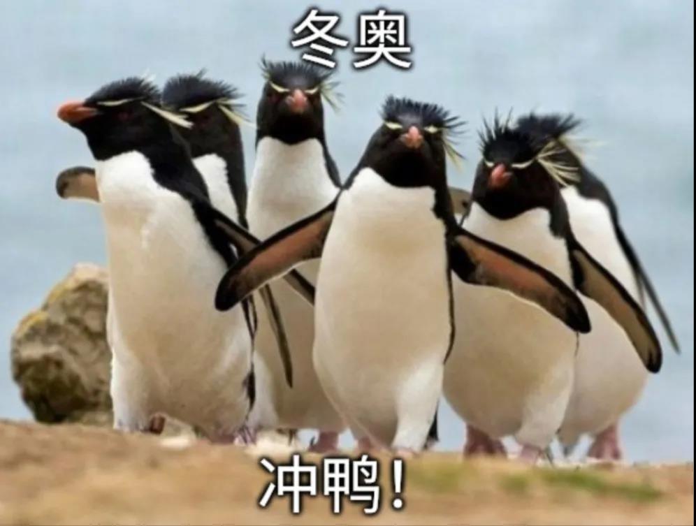 alterg反重力跑步机官网_0重力跑步机_反重力跑步机 中国