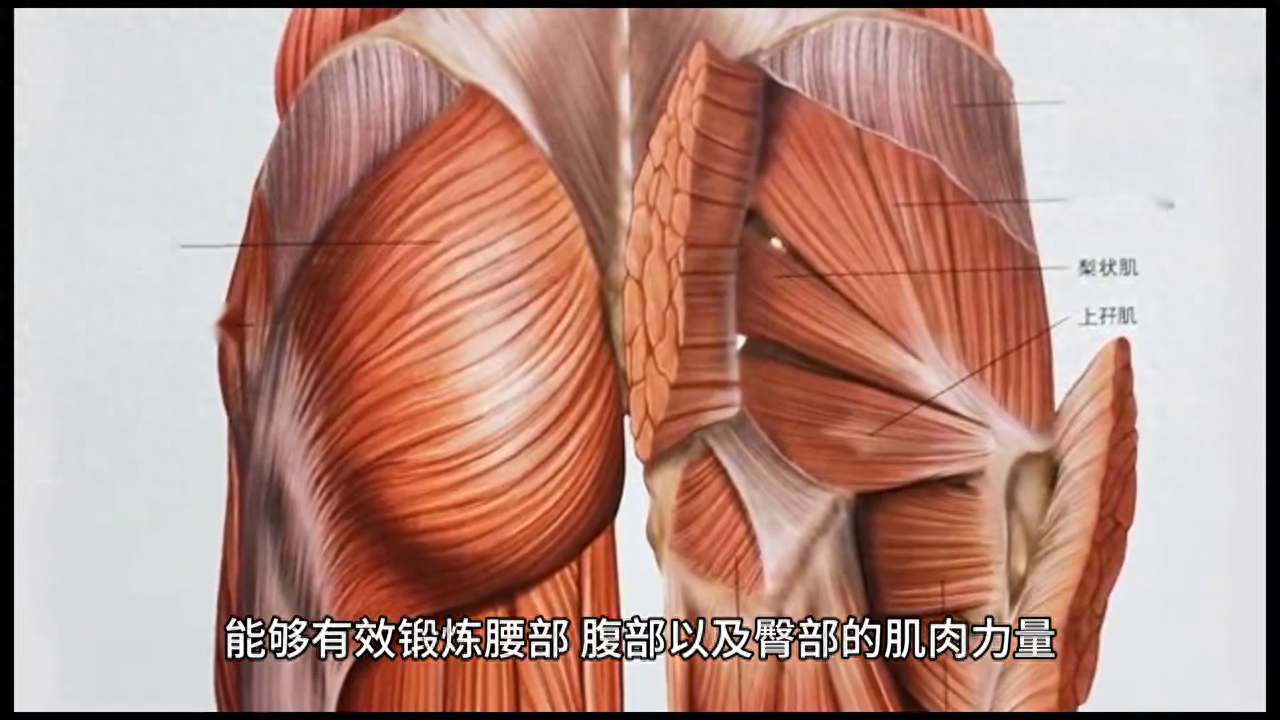 问鼎娱乐电子游戏 【每日一练】增强腰部力量的锻炼方法