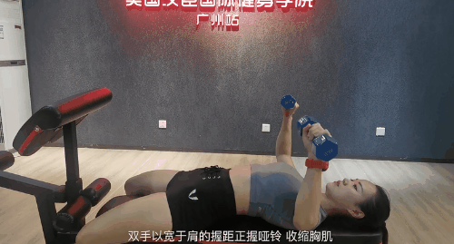 椅子锻炼法视频教程_健身椅锻炼方法_椅子锻炼