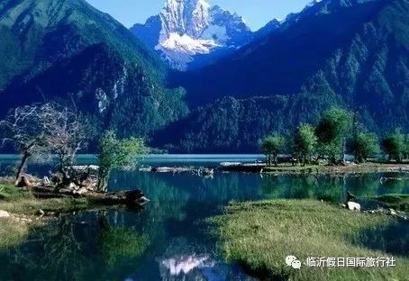 东方康林_东方炻选择女人_东方康林选择