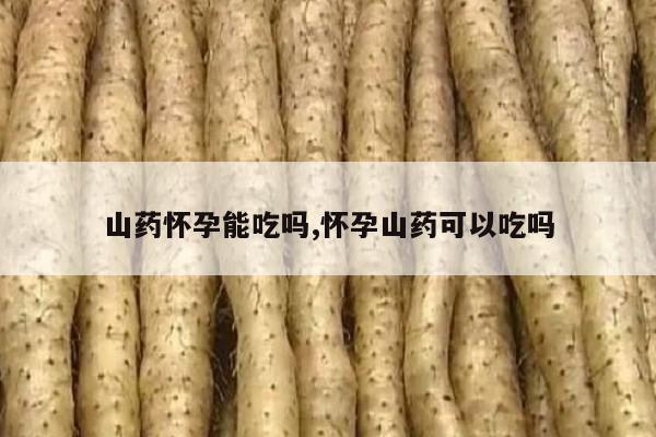 问鼎app官网下载安装 山药怀孕能吃吗,怀孕山药可以吃吗