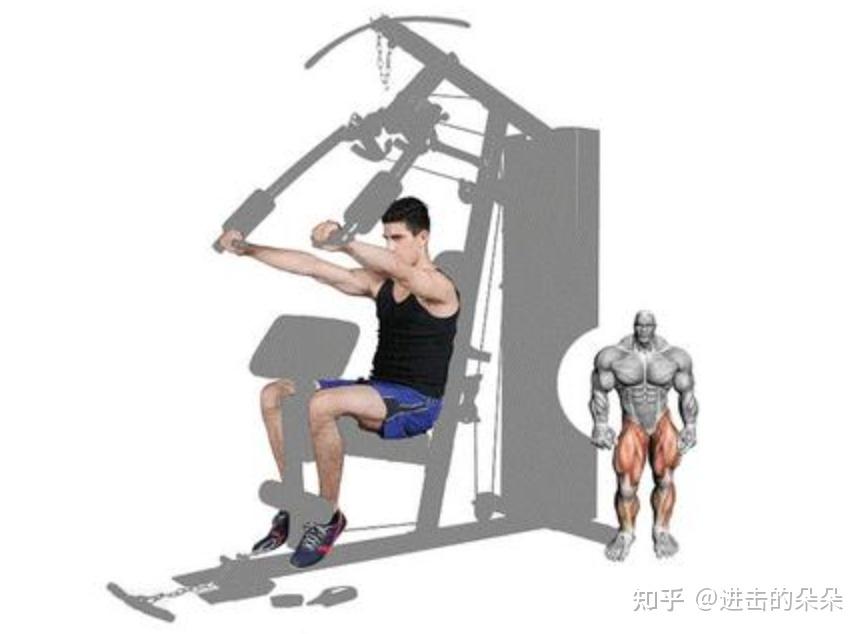 飞鸟训练器练胸肌_飞鸟训练器有几种玩法_大飞鸟综合训练器