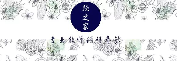 东方卫视舞林大会康康_东方卫视春晚舞蹈_东方卫视舞林大会主持人
