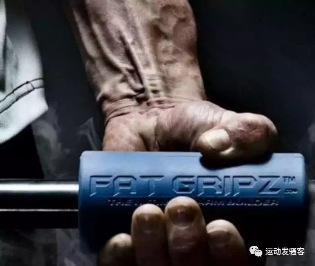 健身椅训练动作_健身椅推荐_健身椅子