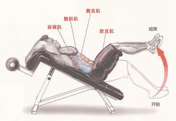 健身椅仰卧起坐_仰卧起坐椅子的用法_健身椅仰卧起坐