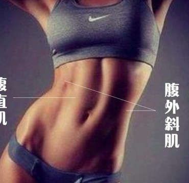 椅子练腹_椅子练腹肌_健身椅练腹肌