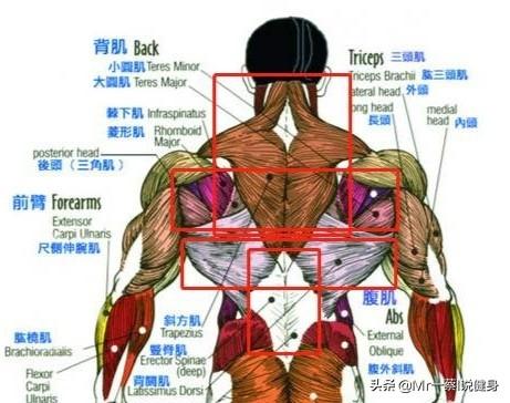 哑铃仰卧屈臂上提视频_仰躺哑铃提拉_做仰卧哑铃提拉在健身椅上吗