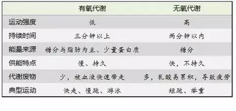 无氧运动器材有哪些_器材运动无氧有哪些项目_器材运动无氧有什么好处