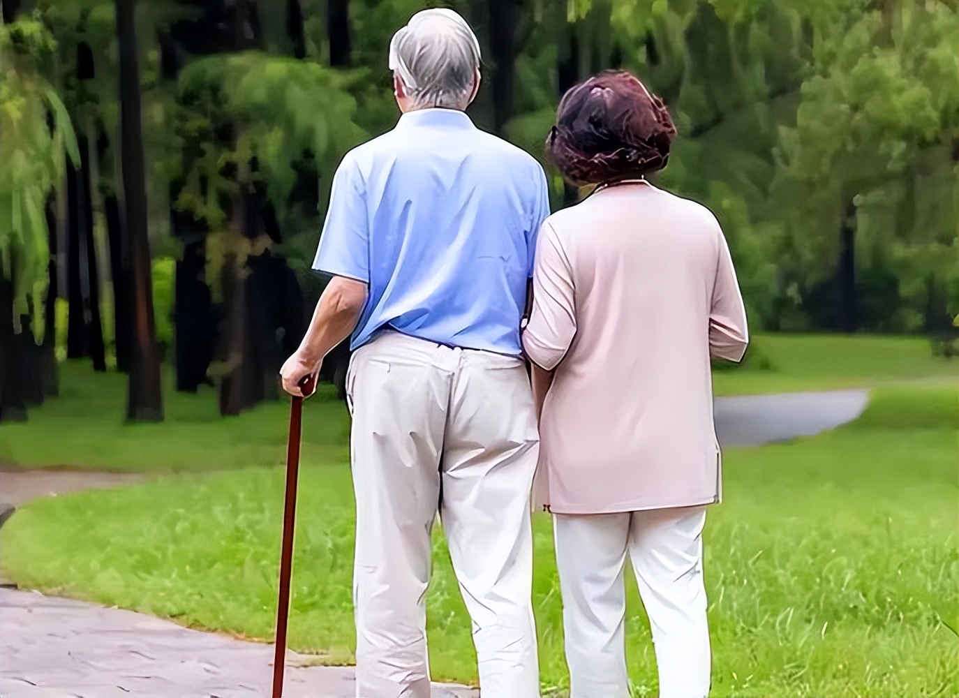 健身椅使用方法图片_老年人运动方式_预防老年病运动方法