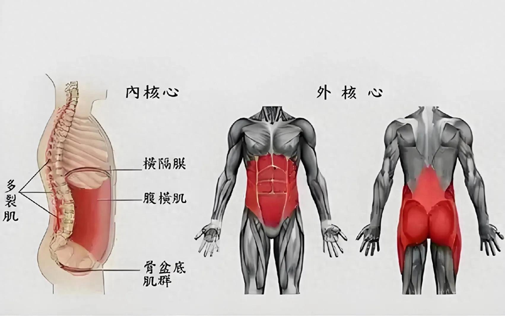 问鼎娱乐电子游戏 腹肌到底需不需要练？