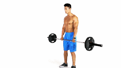 迪卡侬 健腹_迪卡侬运动装备推荐_运动小白必备装备选购指南