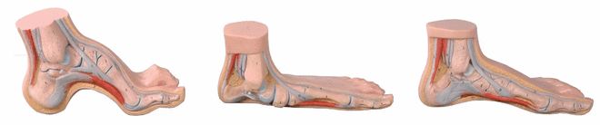 迪卡侬运动装备推荐_迪卡侬 健腹_健身小白必买装备迪卡侬