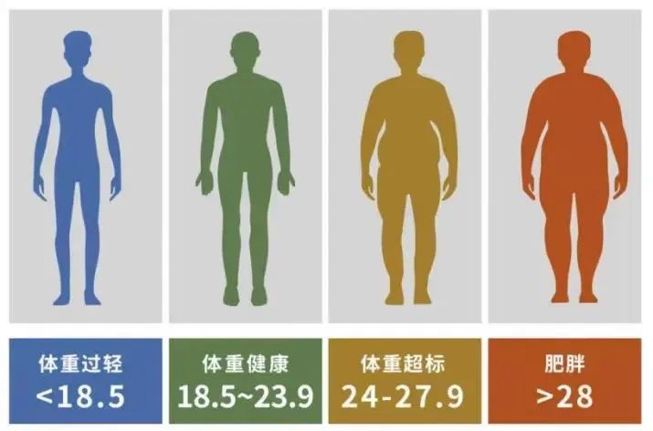 晚饭后慢跑多久能减肥_体重管理门诊_东莞减重医院