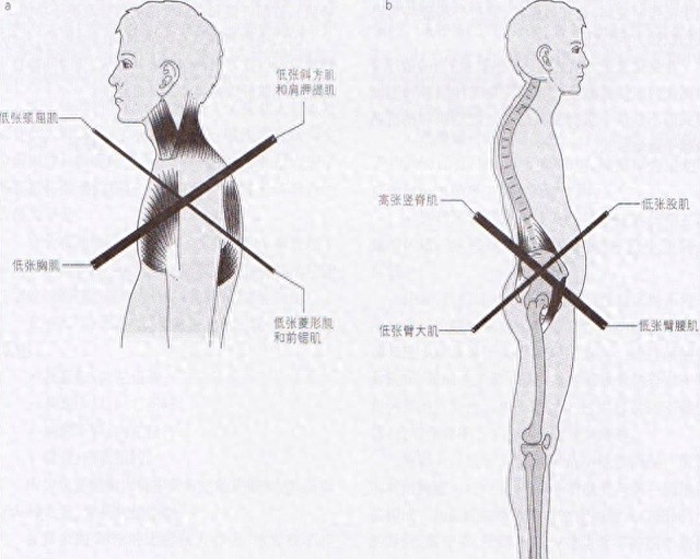 2025精准资料天天免费下载 一个比散步还简单的健身动作，每天只需10分钟！