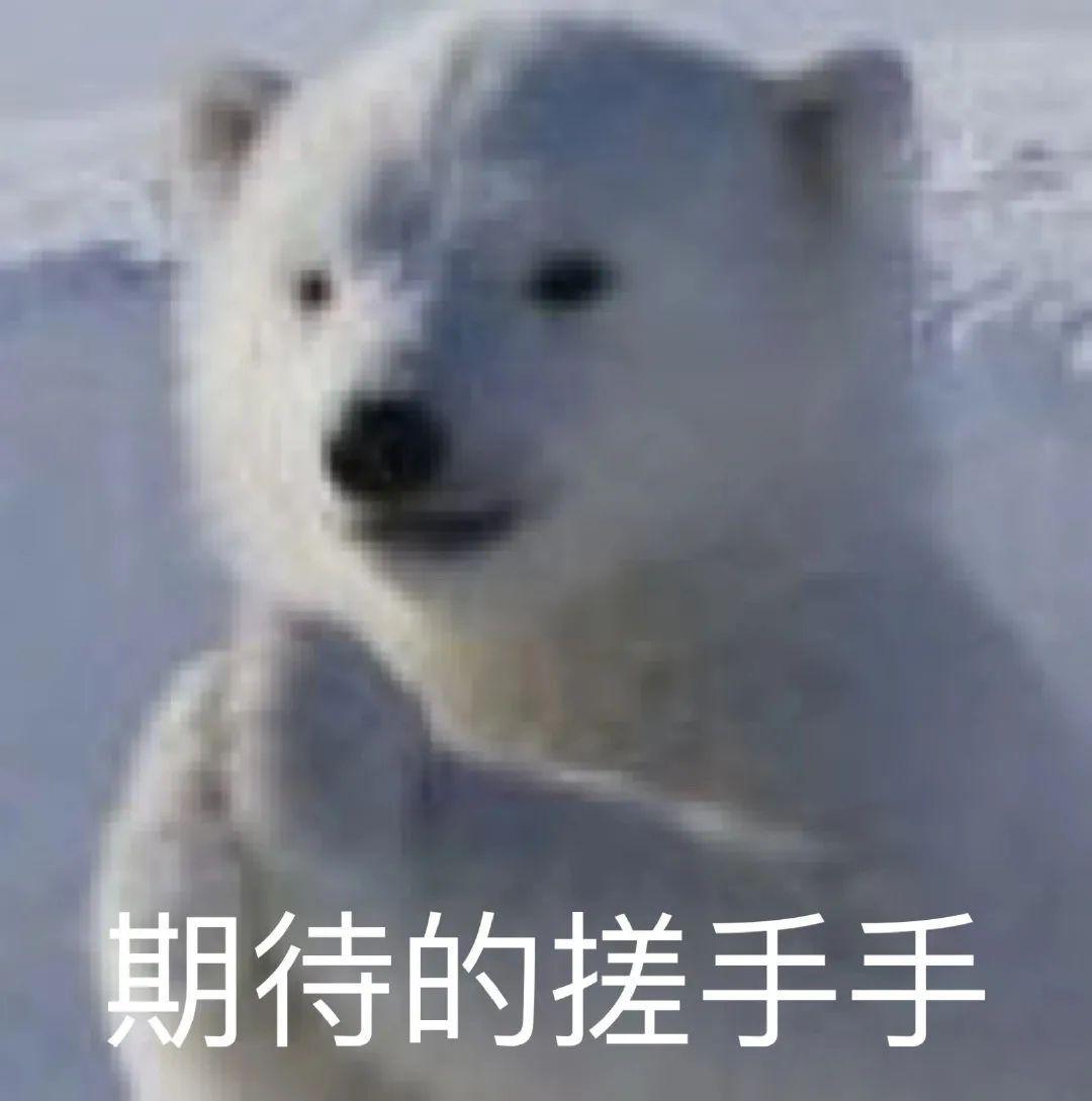 国产跑步机品牌推荐_什么牌子的家用跑步机好_麦瑞克小白犀2代评测