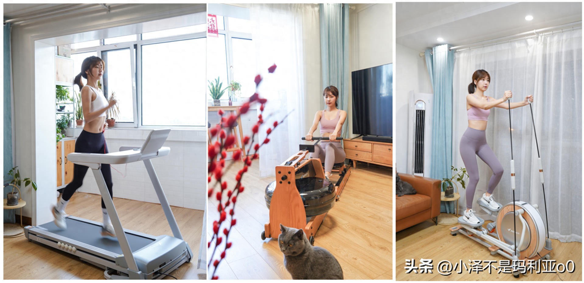 2025年天天免费资料,2025 燃脂/塑形/提臀？绕不开的家用健身器械三大件，到底如何选？