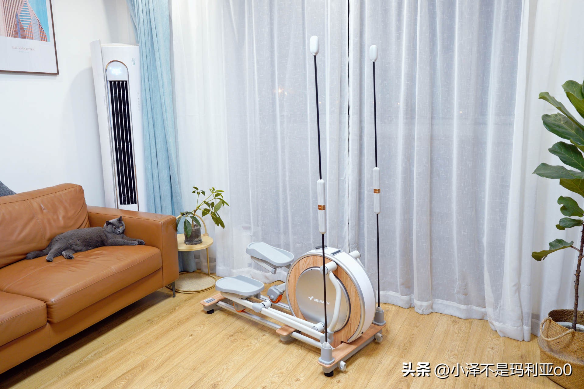 如何选择适合自己的家用健身器械_家用跑步机什么牌子的好_家用跑步机VS椭圆机VS划船机