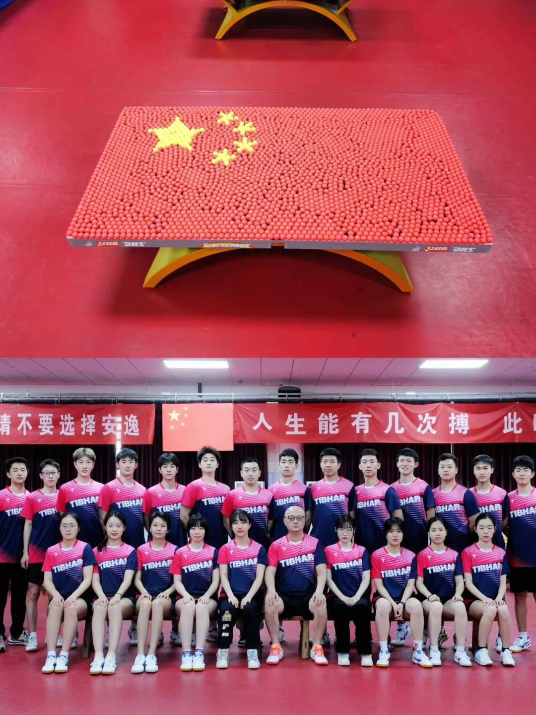 蔡燕妮_蔡燕妮个人资料_蔡燕妮名字怎么样