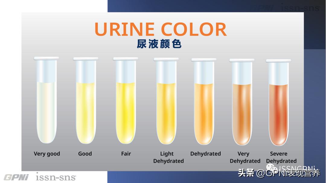 马拉松赛事水合策略_马拉松补水指南_sportsart fitness