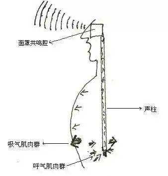 问鼎娱乐官网下载 气息和发声的关系是什么？气息对于声音到底有多重要？