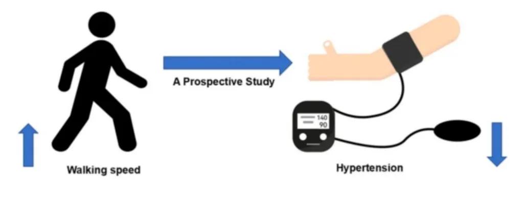 走路速度与长寿关系_走路速度快与癌症风险降低_sportsart fitness