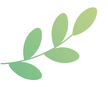 搏飞BowFlex创新健身产品国内市场发布_乔山集团收购搏飞BowFlex战略布局_bowflex中国