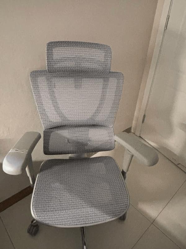 人体工学椅选购指南_十大口碑人体工学椅推荐_最新上下摇晃的健身椅