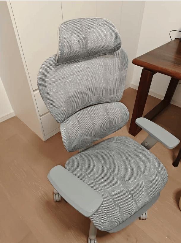 劣质人体工学椅问题_最新上下摇晃的健身椅_人体工学椅选购指南