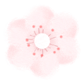 体重管理指导原则2024_办公室健身椅_超重肥胖预防措施