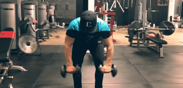 大飞鸟综合训练器_背部训练优先级_健身六大黄金肌群