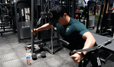 健身六大黄金肌群_背部训练优先级_大飞鸟综合训练器