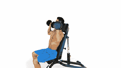 大飞鸟综合训练器_背部训练优先级_健身六大黄金肌群