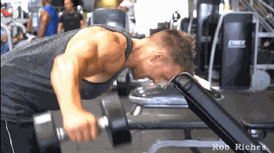 健身六大黄金肌群_大飞鸟综合训练器_背部训练优先级