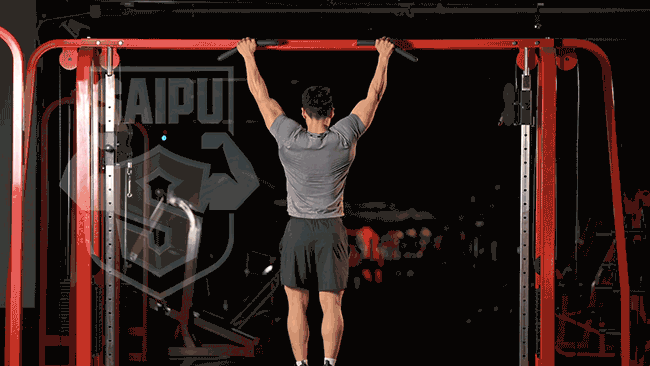 背部训练优先级_健身六大黄金肌群_大飞鸟综合训练器