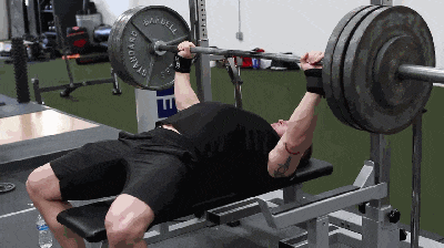 背部训练优先级_大飞鸟综合训练器_健身六大黄金肌群