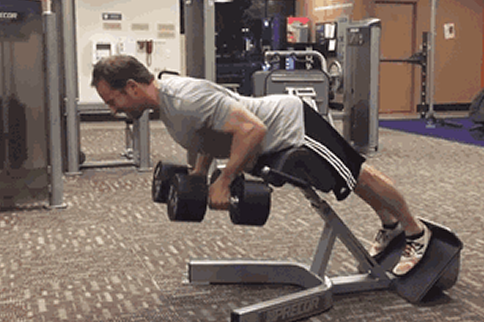 问鼎娱乐app苹果下载 罗马椅的正确使用方法 可别练错了