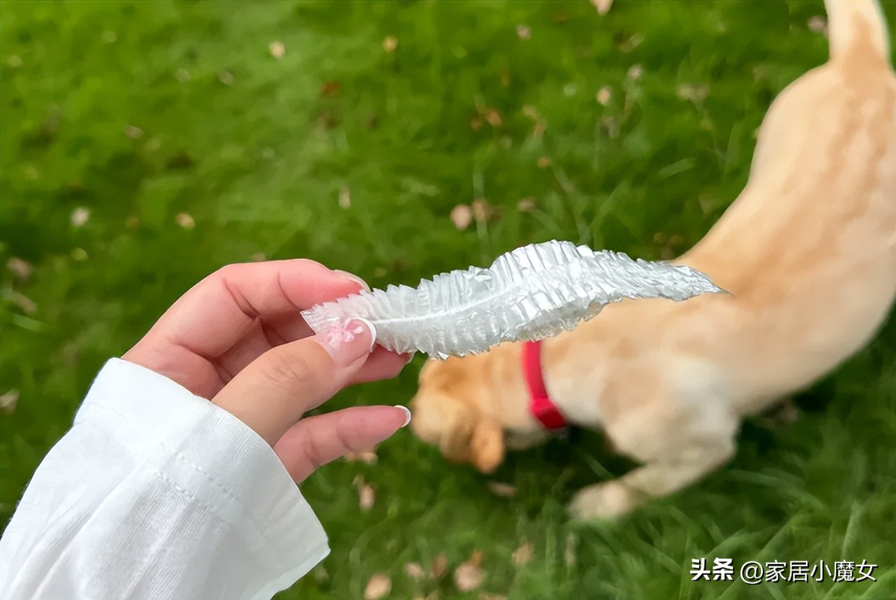 保鲜膜套妙用_保鲜膜瘦肚子正确方法_保鲜膜套收纳