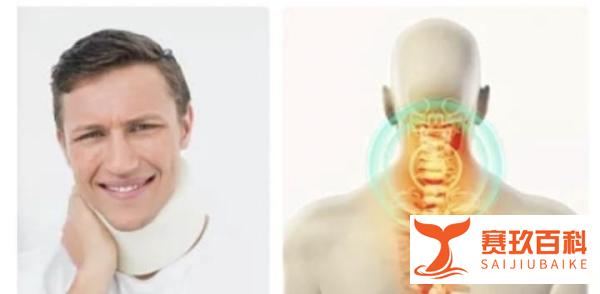 2025年正版资料免费最新版本 2025年9月人体工学椅避坑指南！最建议买的人体工学椅TOP6推荐！人体工学椅哪个牌子好？怎么选看这里！