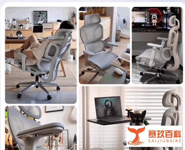 2025年最佳人体工学椅推荐_健身椅哪个牌子好_人体工学椅选购指南