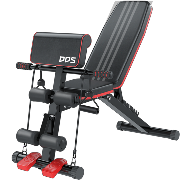 2025精准资料天天免费下载 在家健身别瞎买！多德士哑铃凳到底哪个型号好？搞懂这3个关键点，省钱又高效！