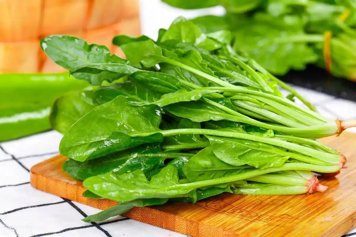 吃什么能补钙食物最好_芝麻酱补钙功效_芝麻酱高钙王