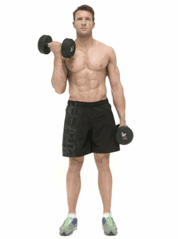 居家力量训练_哑铃健身椅_哑铃居家锻炼