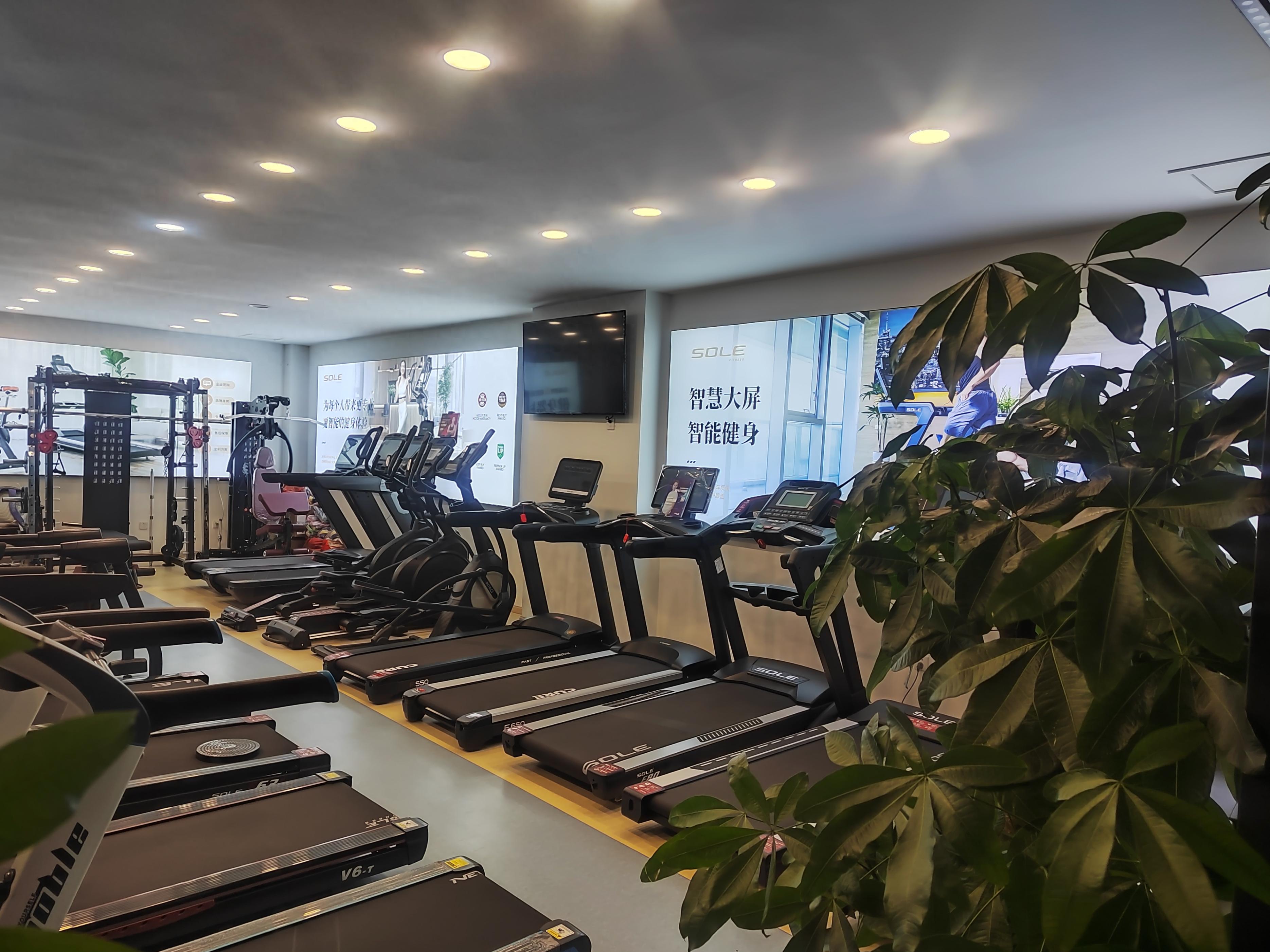 2025年最精准免费资料 成都专业跑步机健身器材专卖店推荐：选购指南解析