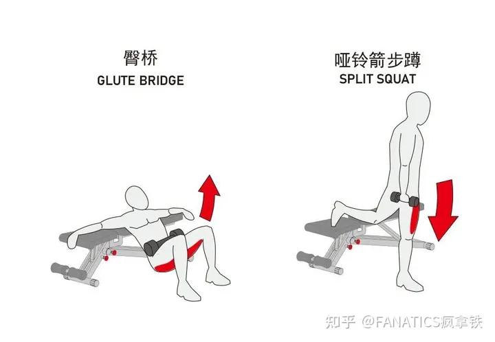 哑铃健身椅_哑铃凳训练动作图解_家用哑铃凳挑选