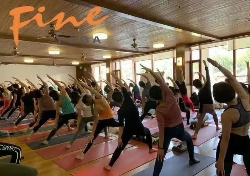 古典瑜伽发展历程_中国瑜伽行业兴衰分析_瑜伽健身椅图片