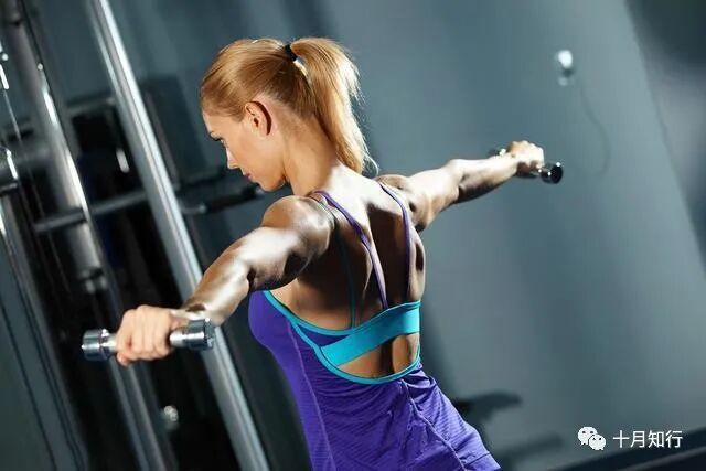 新手上肢塑形训练_女性力量训练入门手臂_全身协调发展塑形