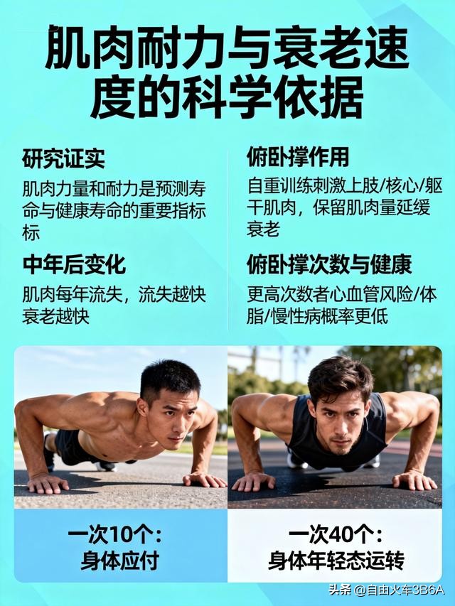 俯卧撑标准动作数量_身体衰老速度测试_耐力好的人有什么好处